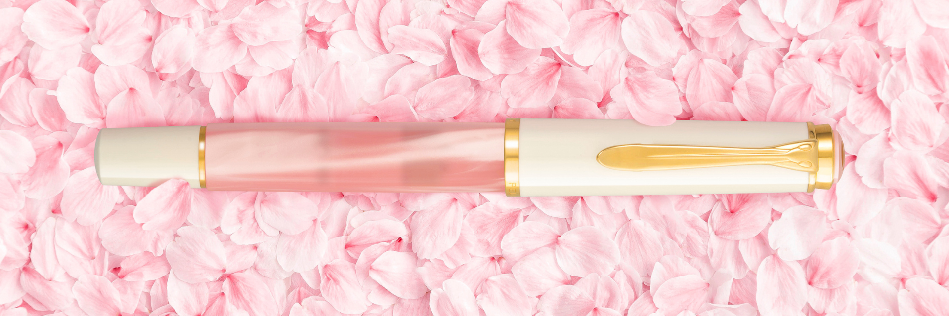 CLASSIC 200 Cherry Blossom